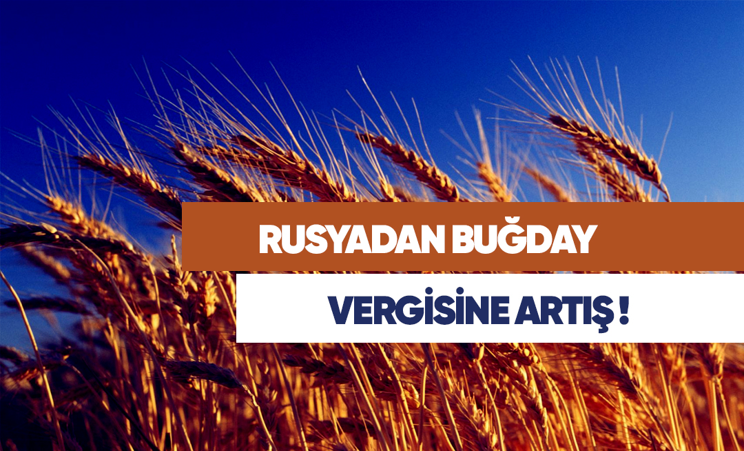 STA Gümrük Müşavirliği